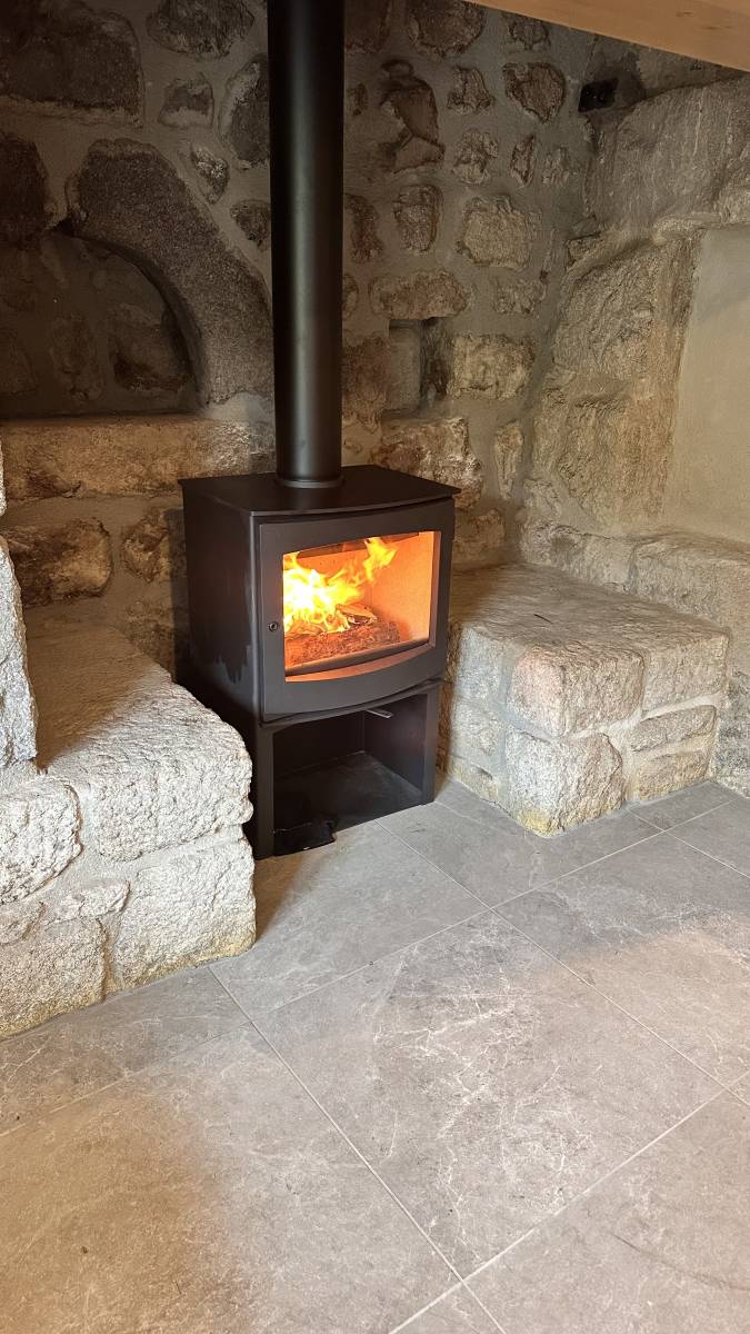 Installation d'un poêle à bois Dik Geurts à Sainte-Foy-lès-Lyon