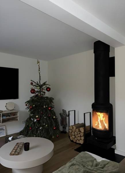 Poêle à bois suspendu Vesta Frontal Rocal